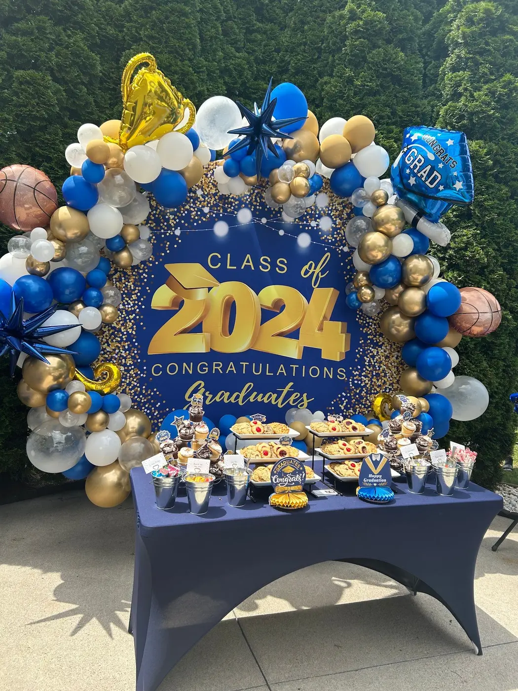 Photo backdrops by Balloon Events by Gigi, Rochester NY